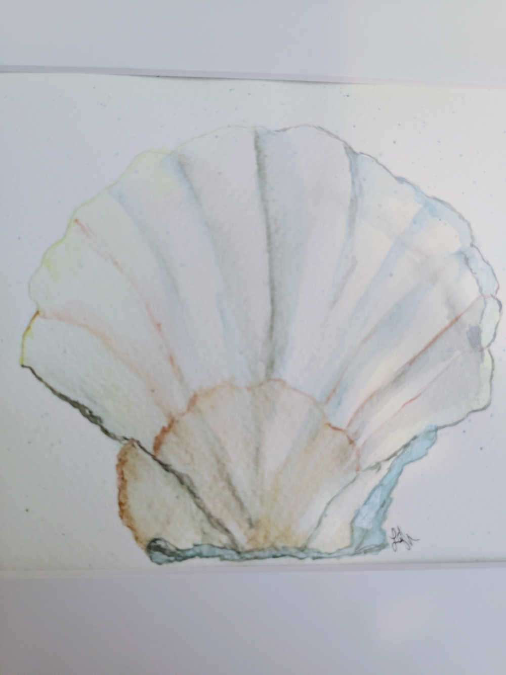 Original Watercolor Paintings